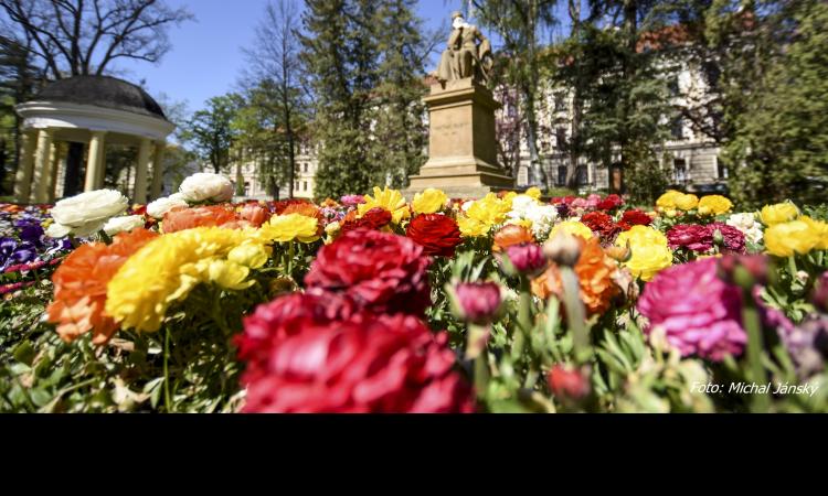 Obrázek k&nbsp;článku Písek má plán, jak dlouhodobě řešit dopravu a&nbsp;zeleň