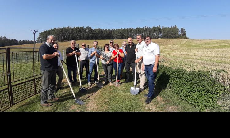 Obrázek k&nbsp;článku Náměstek hejtmanky Hroch inicioval vysázení Aleje přátelství mezi Jihočeským a&nbsp;Jihomoravským krajem